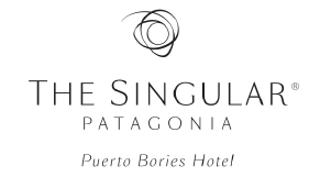 the singular patagonia